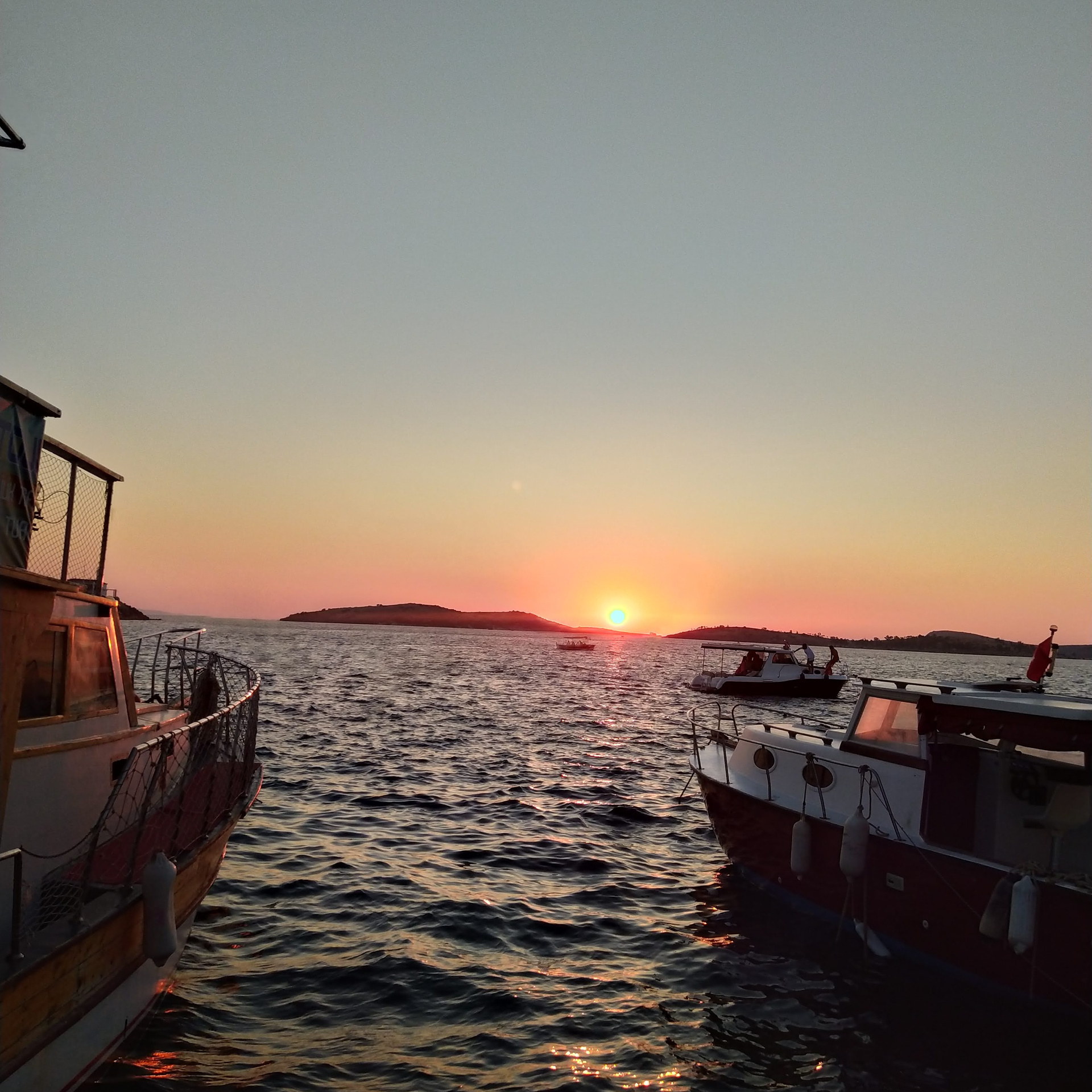 İlknur Parmaksız